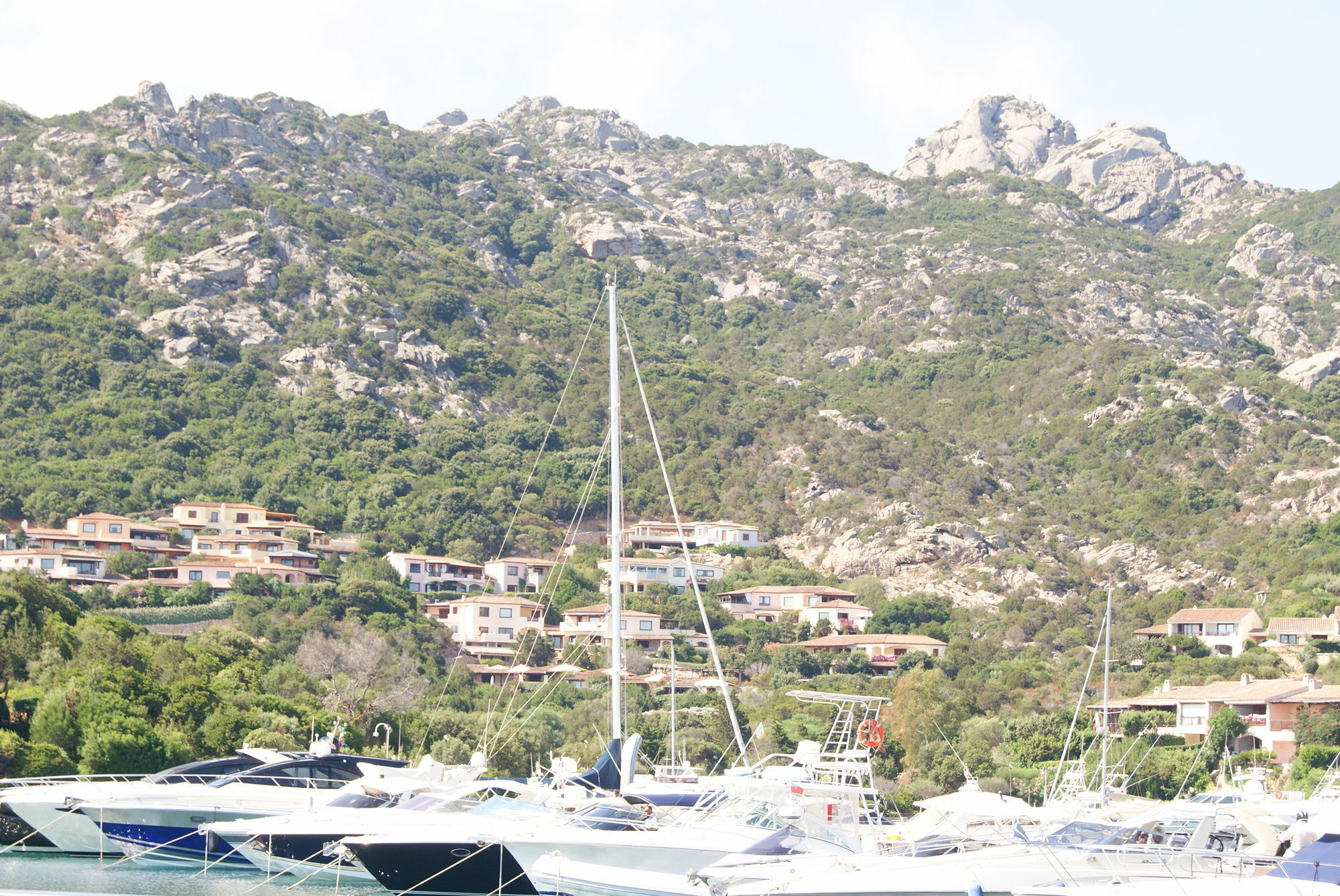 Della Marina *
